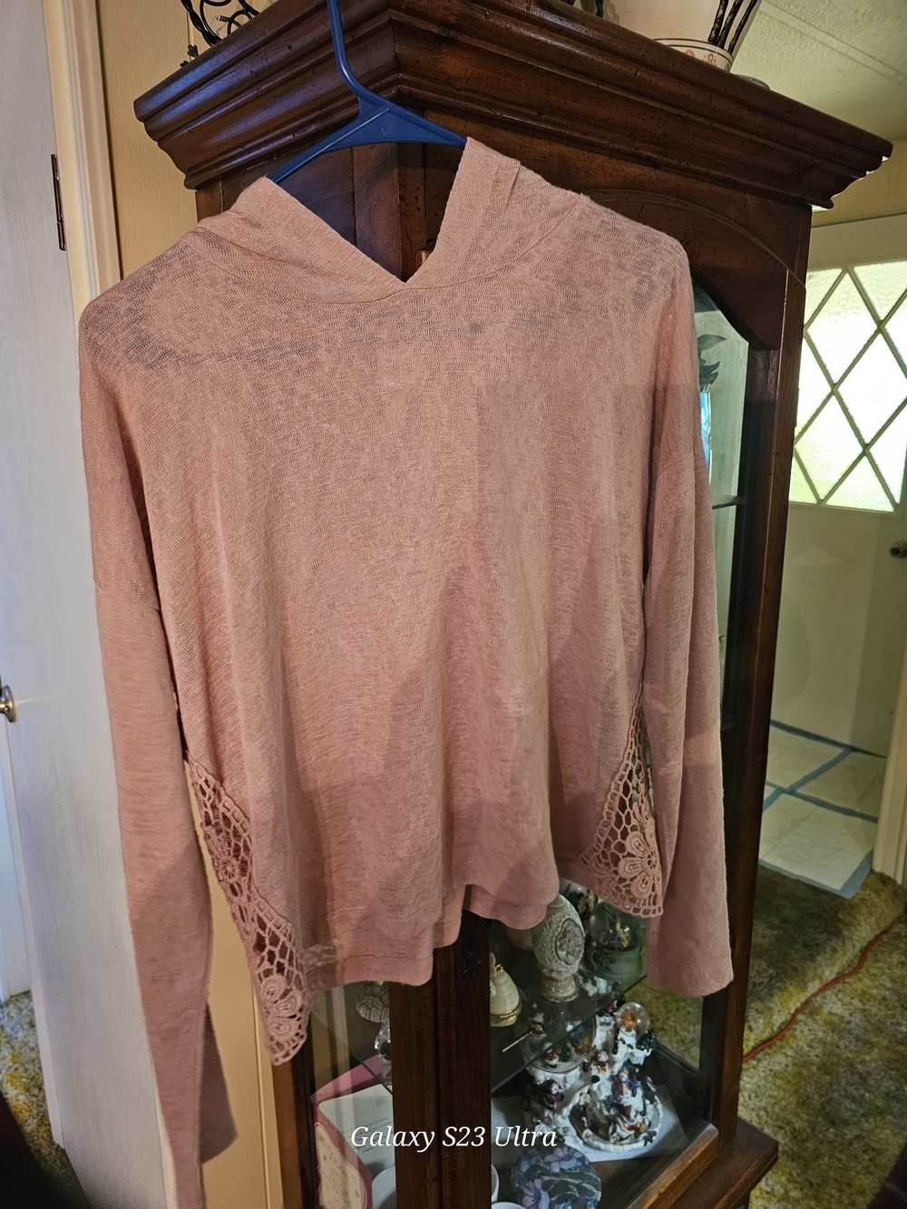 happening in the present Blush Pink Hooded Long-Sleeve Top with Lace Insets